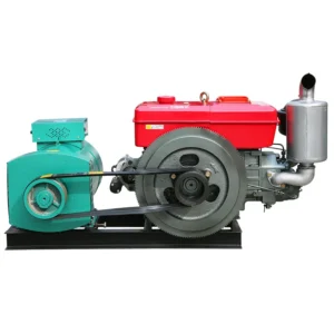 Smooth Four-Stroke Operation with Essential Engine Components Single-Cylinder Water-Cooled Diesel Generator with Factory Price